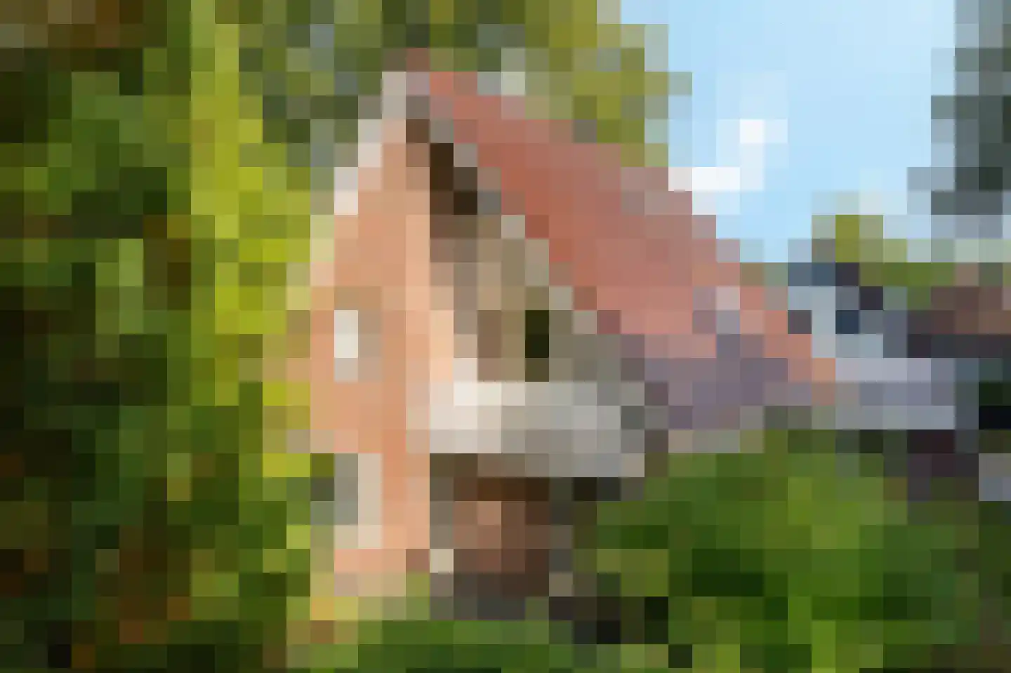 Eperweg 9 Nunspeet thumbnail 8