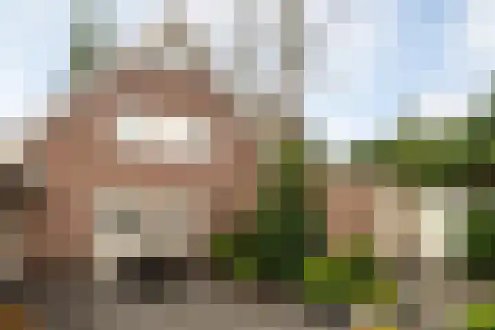 Eperweg 9 Nunspeet thumbnail 8