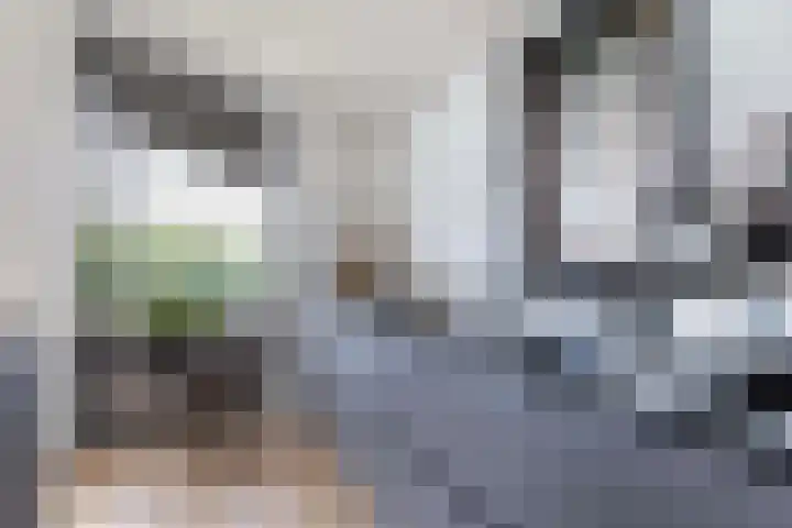 Epicurusstraat 63 Almere thumbnail 15