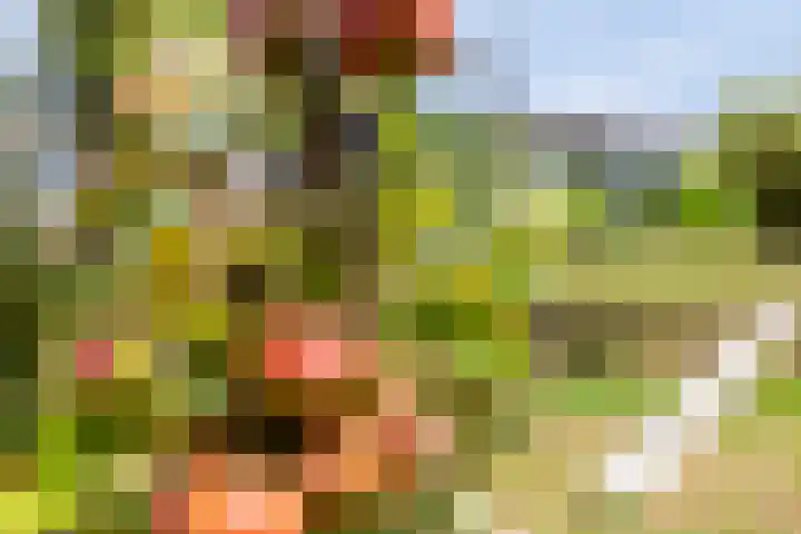 Epicurusstraat 63 Almere thumbnail 31