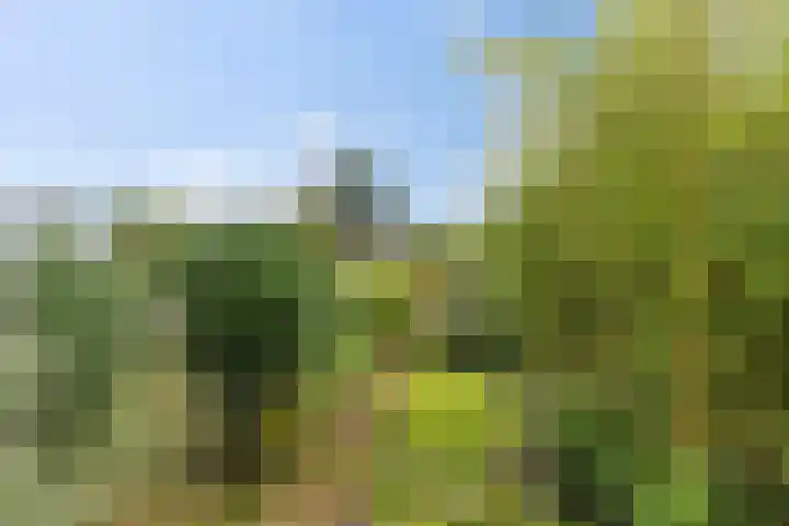 Epicurusstraat 63 Almere thumbnail 33