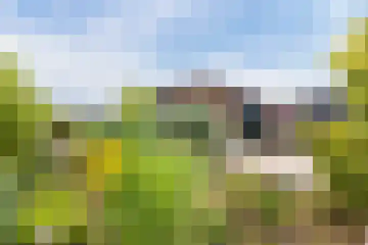 Epicurusstraat 63 Almere thumbnail 5