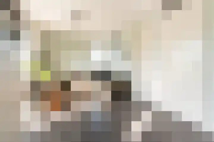 Epicurusstraat 92 Almere thumbnail 4