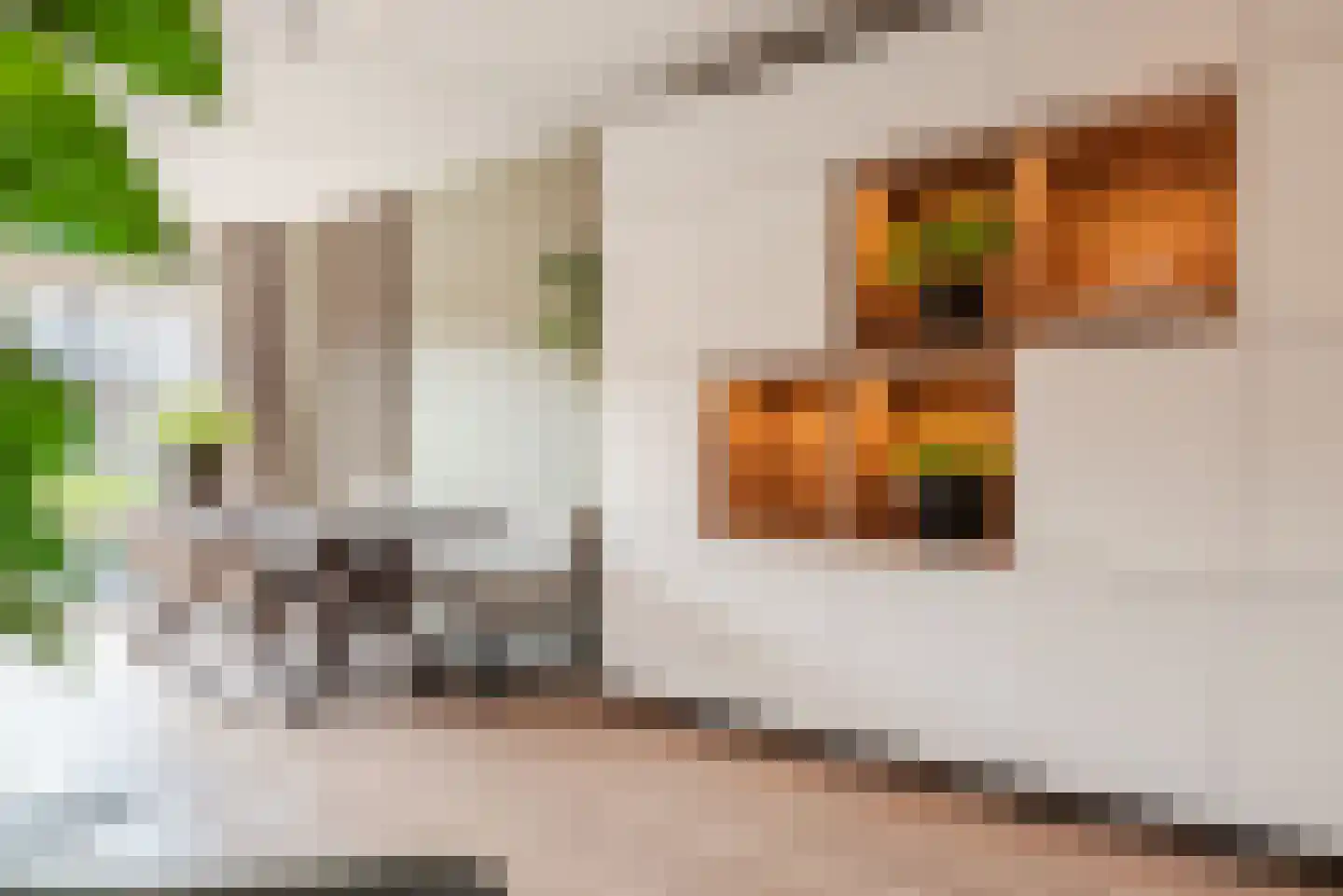 Epinalpad 1 Eindhoven thumbnail 19