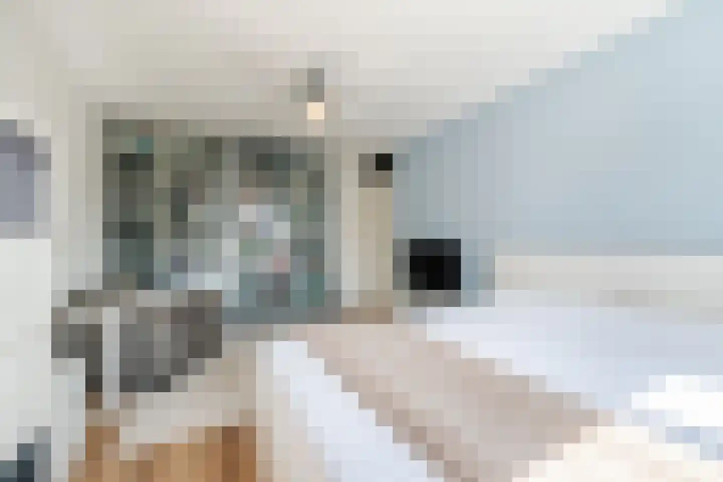 Epinalpad 1 Eindhoven thumbnail 21