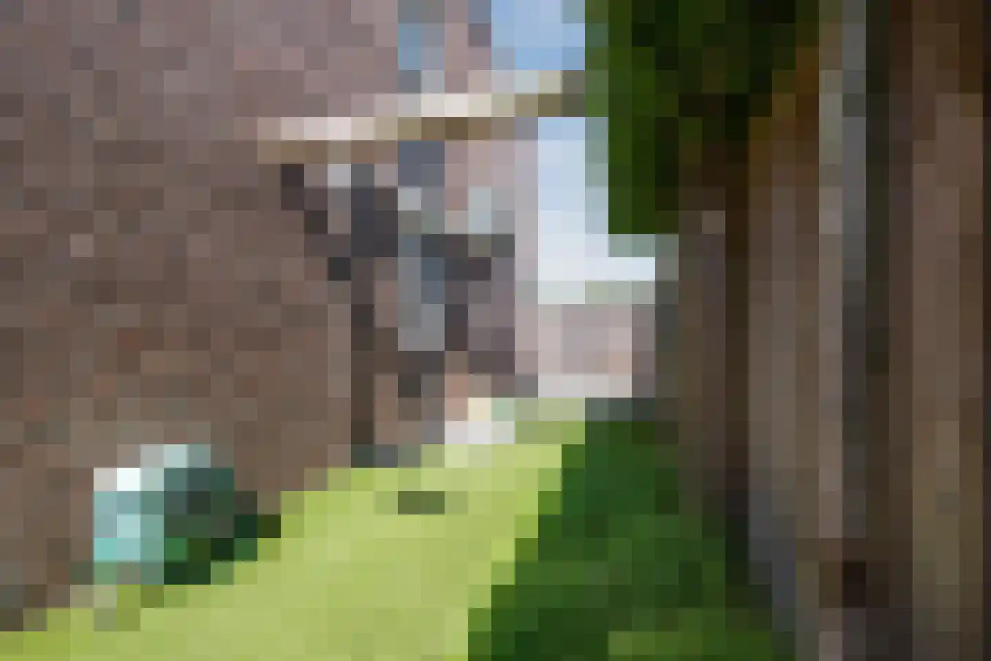 Epinalpad 1 Eindhoven thumbnail 42