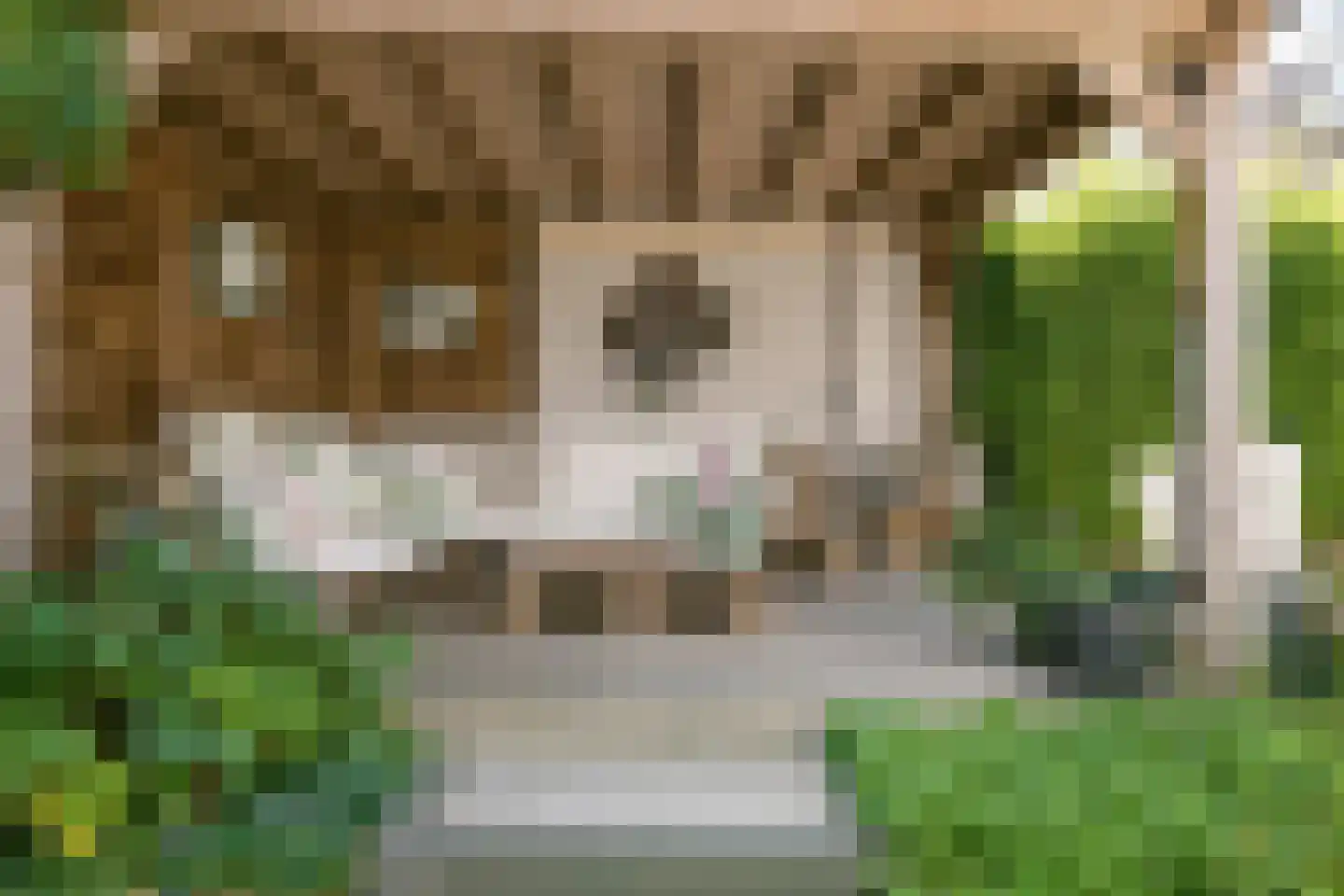 Epinalpad 1 Eindhoven thumbnail 43