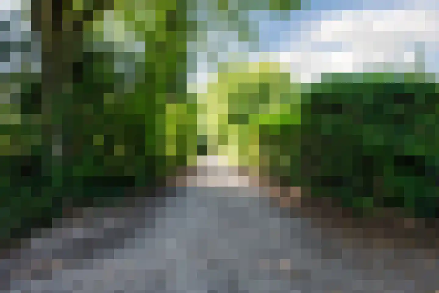 Epinalpad 1 Eindhoven thumbnail 58