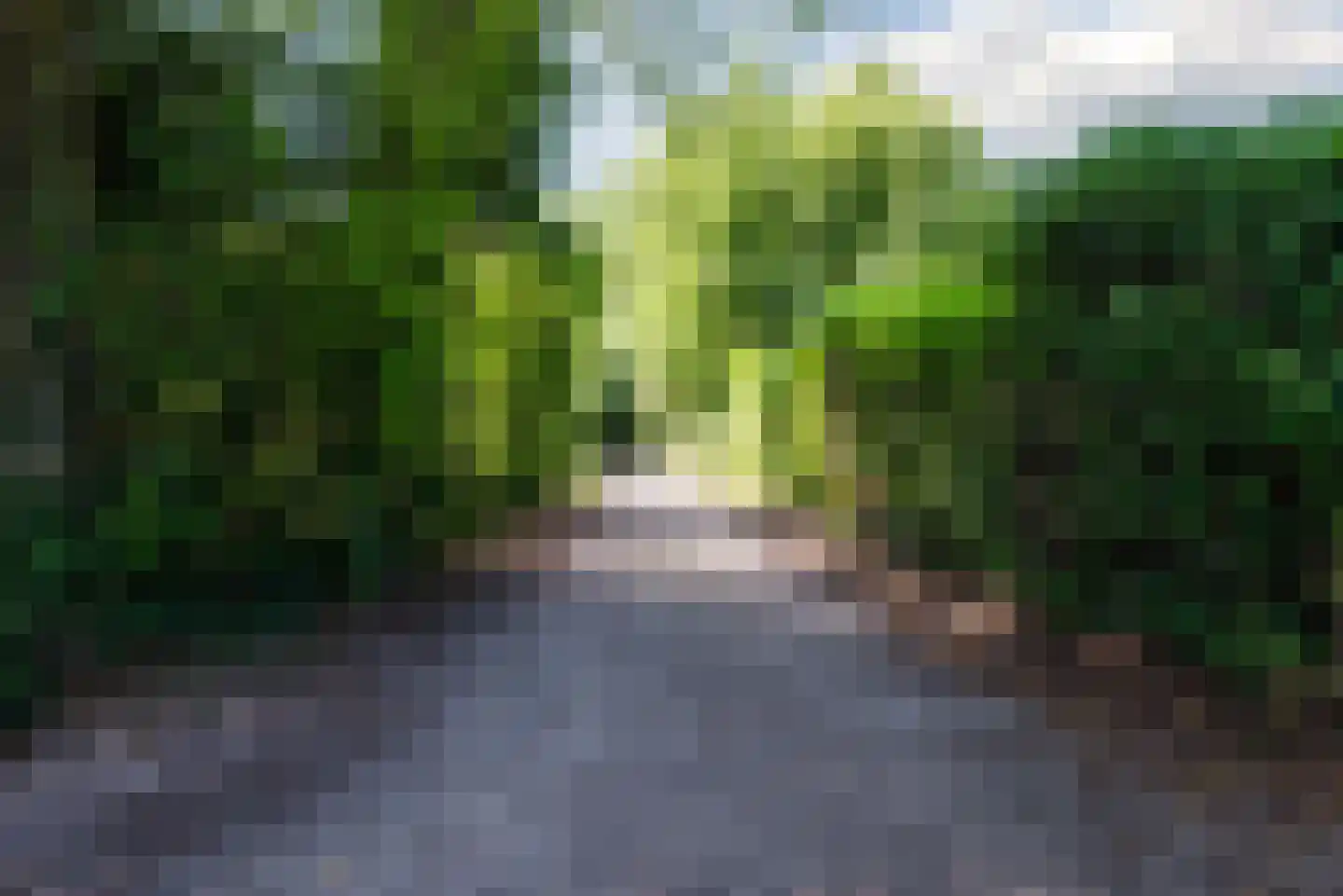 Epinalpad 1 Eindhoven thumbnail 59