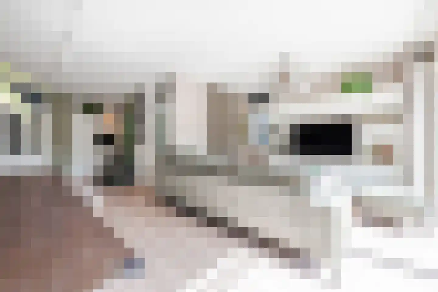 Epinalpad 1 Eindhoven thumbnail 8
