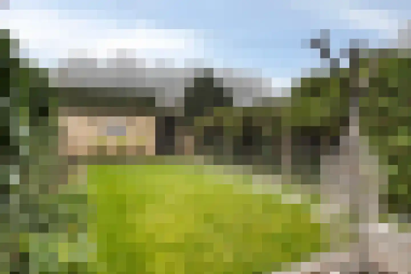 Epkemastraat 14 Zaltbommel thumbnail 29