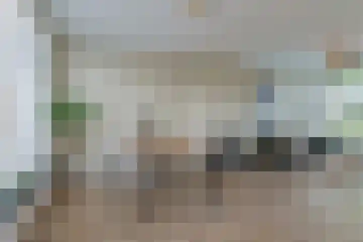 Eppe 13 Geldrop thumbnail 12