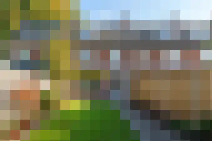 Eppe 13 Geldrop foto 2