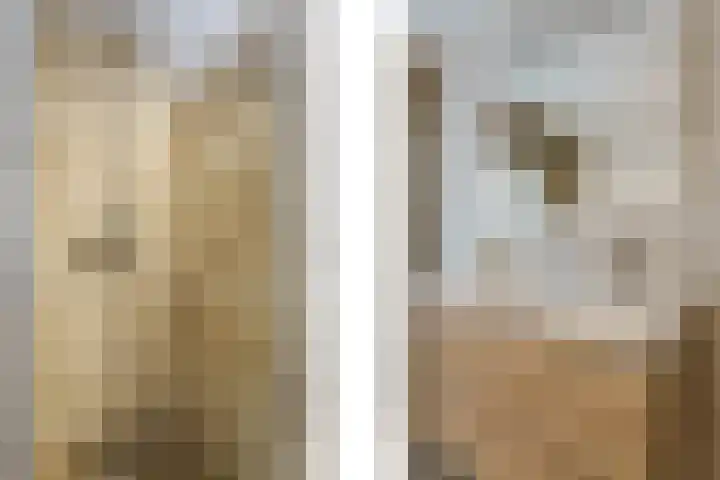 Eppe 13 Geldrop thumbnail 25