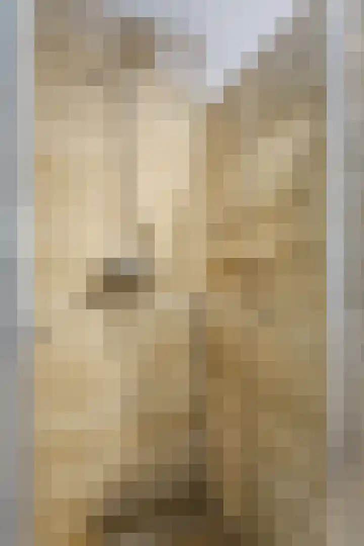 Eppe 13 Geldrop thumbnail 26