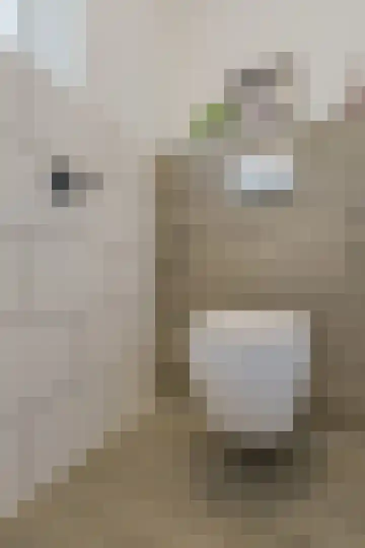 Eppe 13 Geldrop thumbnail 29