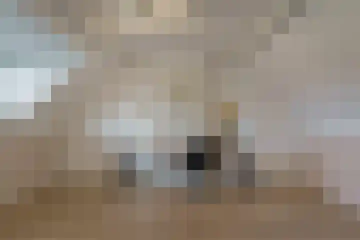 Eppe 13 Geldrop thumbnail 33