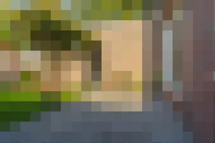 Eppe 13 Geldrop thumbnail 36