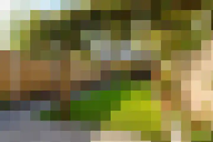 Eppe 13 Geldrop thumbnail 37