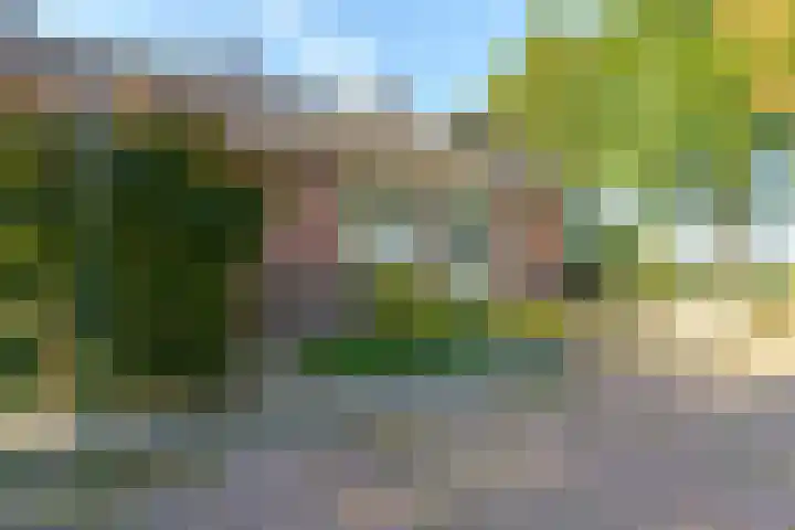 Eppe 13 Geldrop thumbnail 39