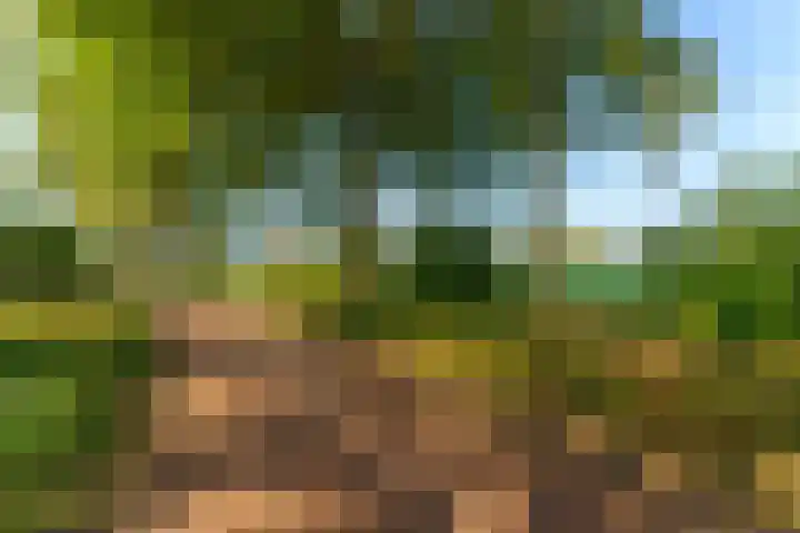 Eppe 13 Geldrop thumbnail 43
