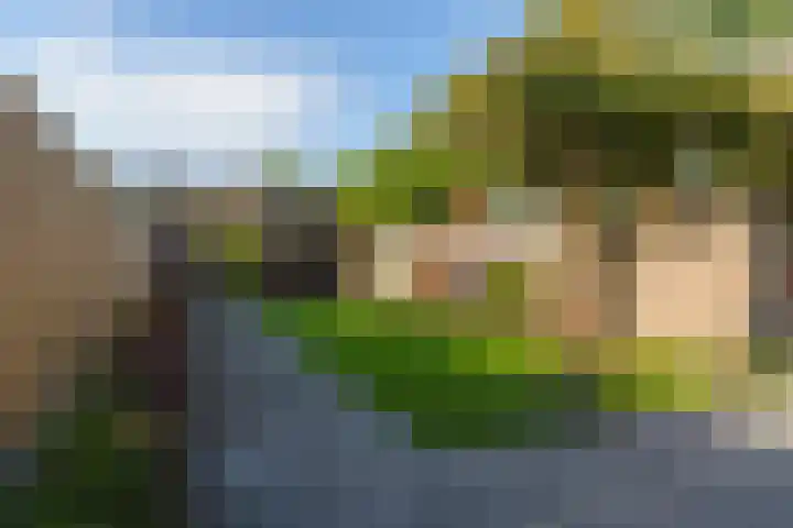 Eppe 13 Geldrop thumbnail 5