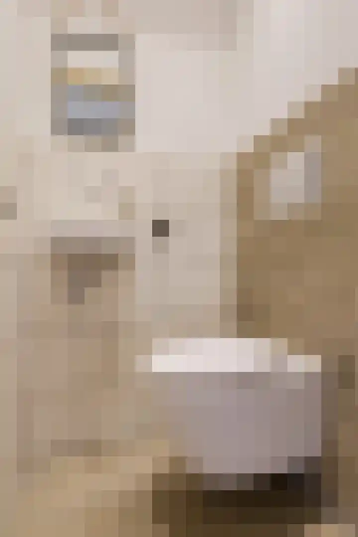 Eppe 13 Geldrop thumbnail 7