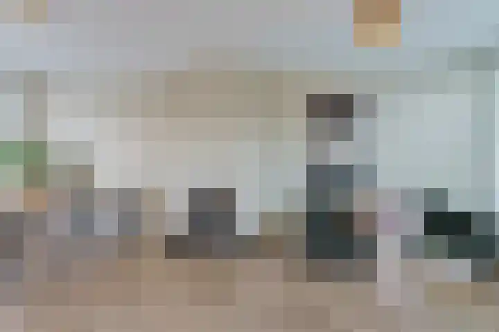 Eppe 13 Geldrop thumbnail 9