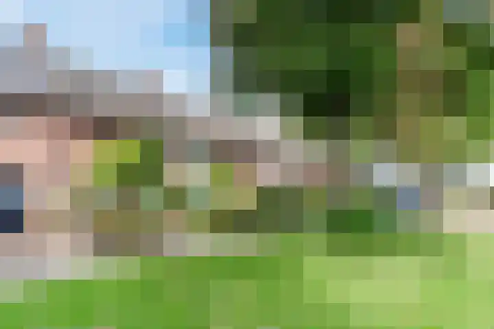 Eppe 5 Geldrop thumbnail 8
