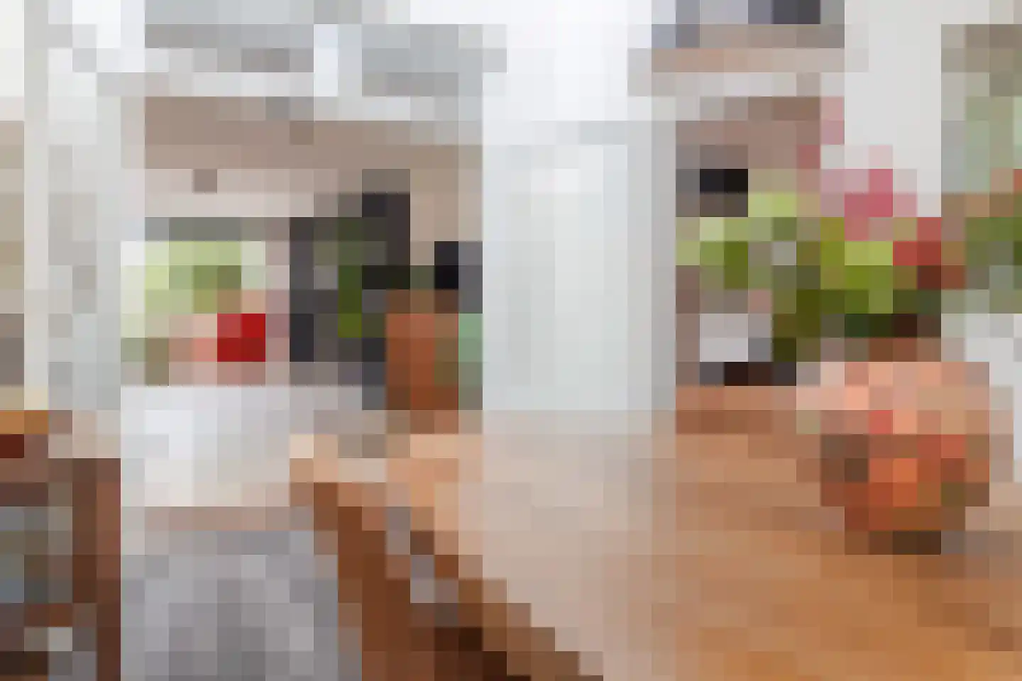 Eppekoutsweg 4 Guttecoven thumbnail 17