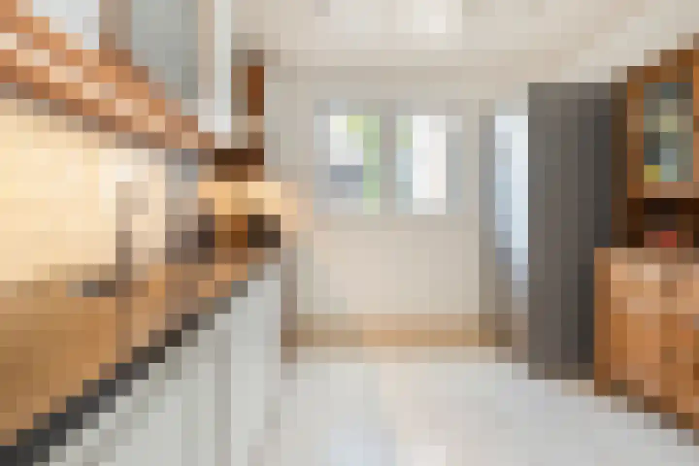 Eppekoutsweg 4 Guttecoven thumbnail 18