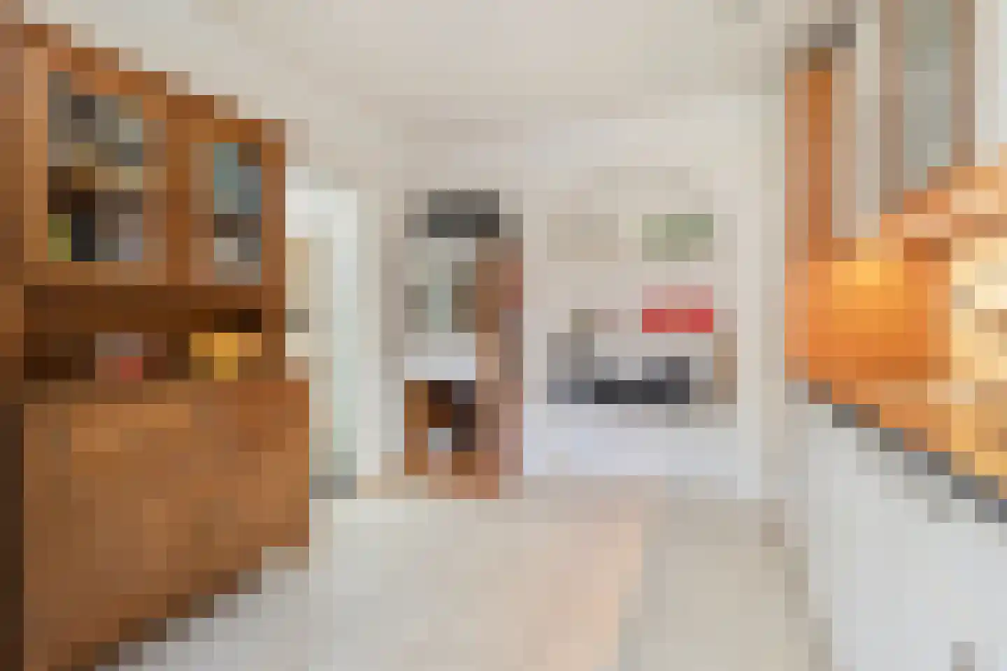 Eppekoutsweg 4 Guttecoven thumbnail 20