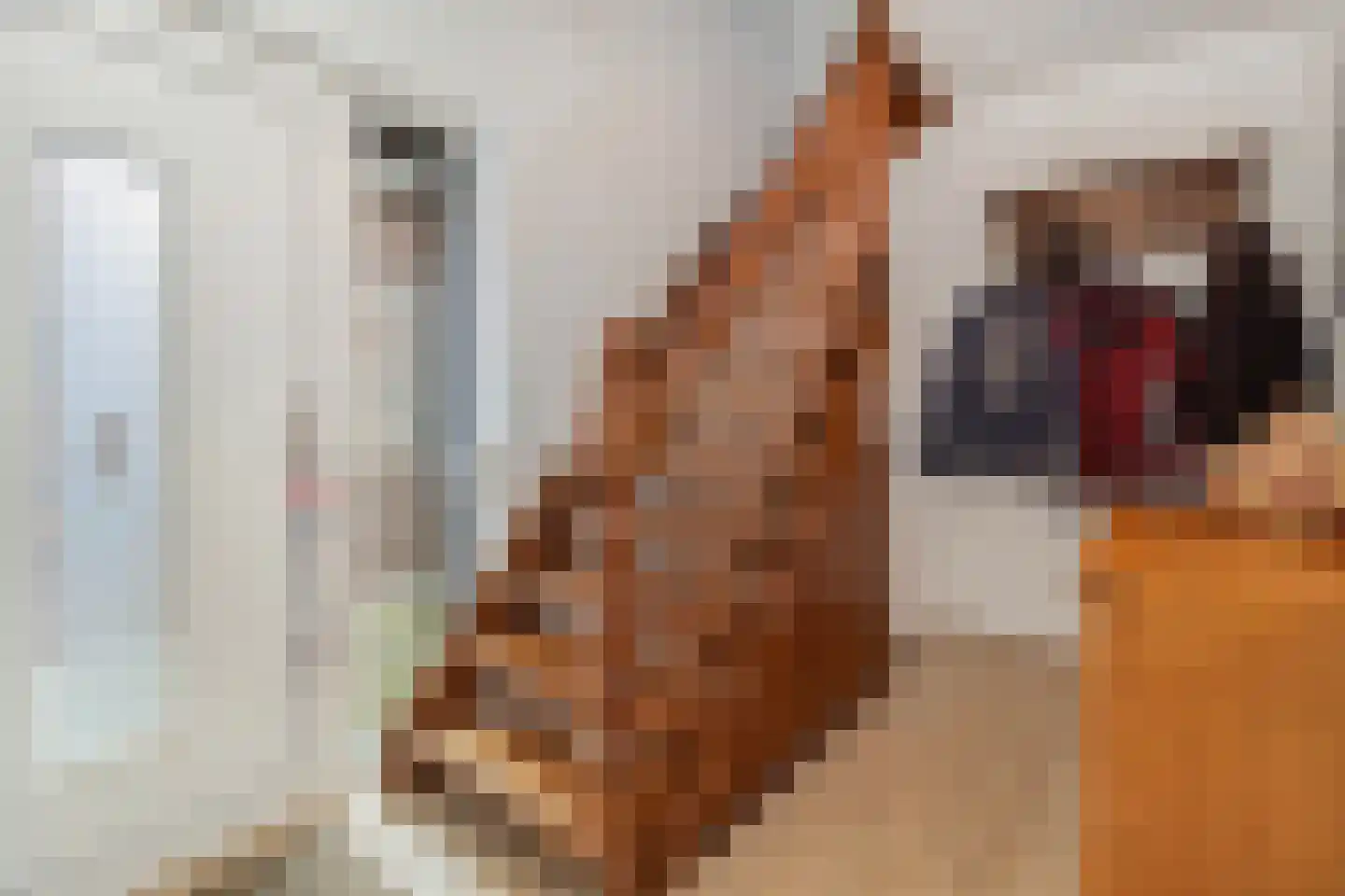 Eppekoutsweg 4 Guttecoven thumbnail 22