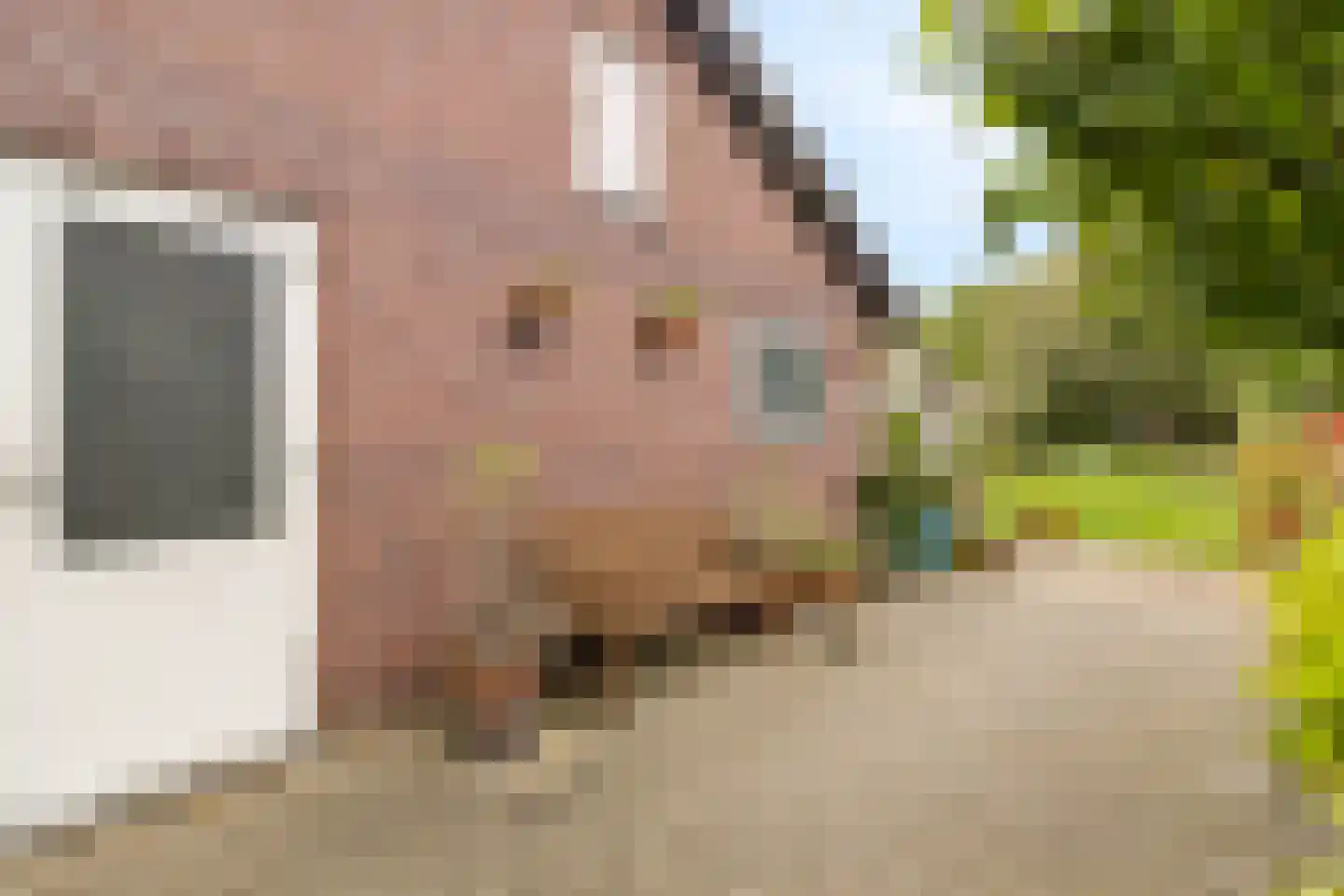 Eppekoutsweg 4 Guttecoven thumbnail 39