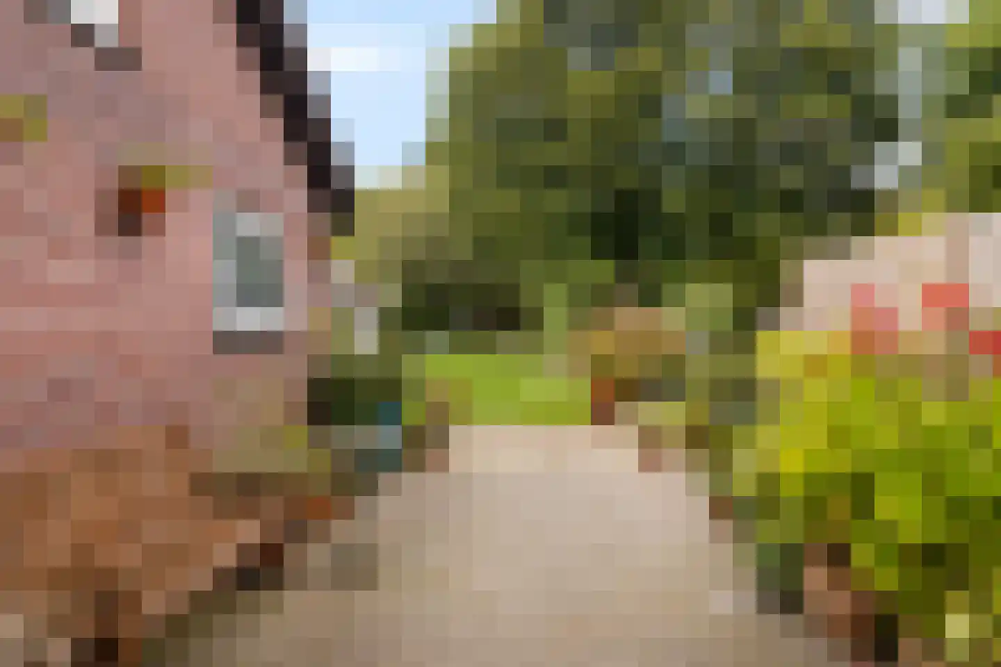 Eppekoutsweg 4 Guttecoven thumbnail 40