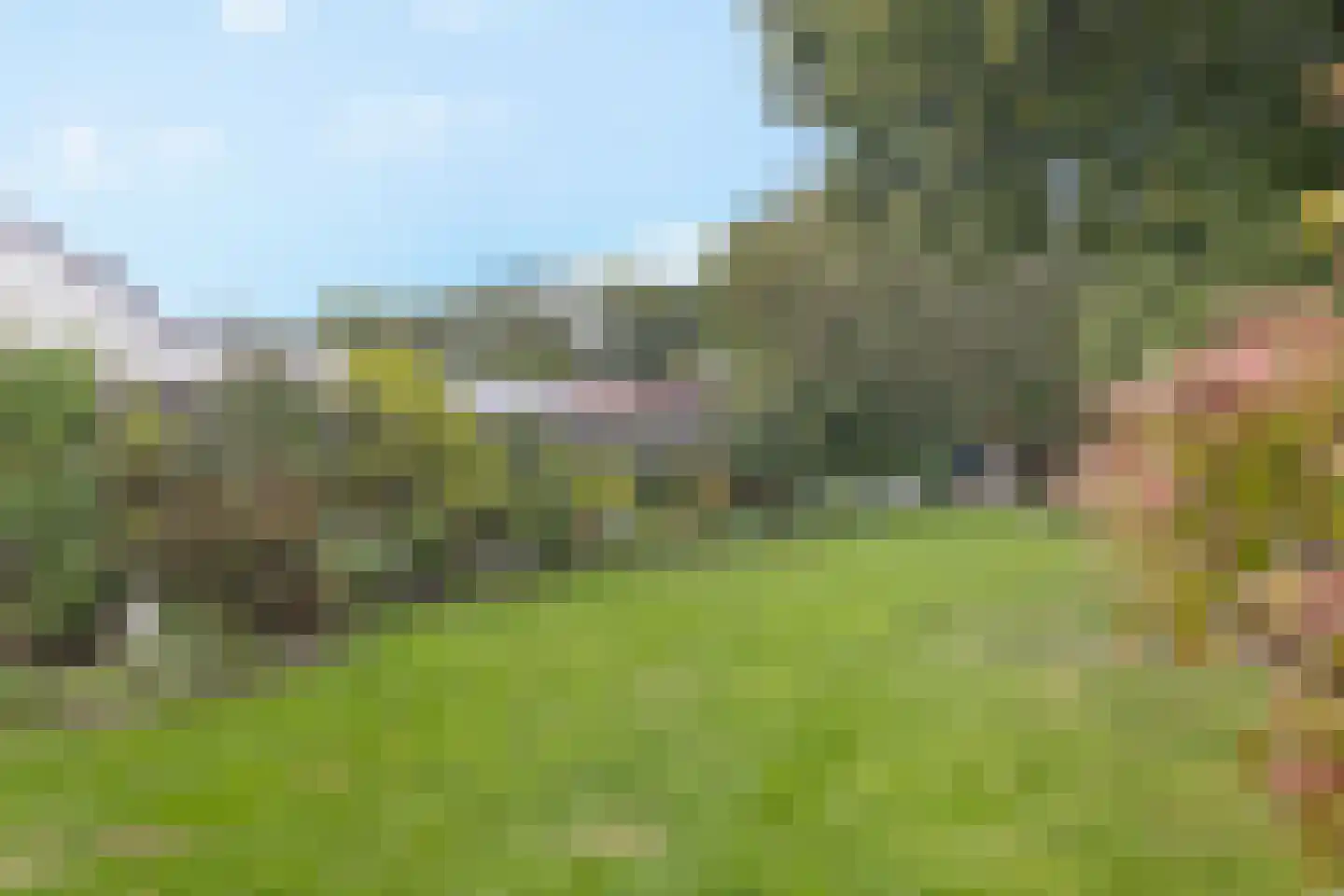 Eppekoutsweg 4 Guttecoven thumbnail 43