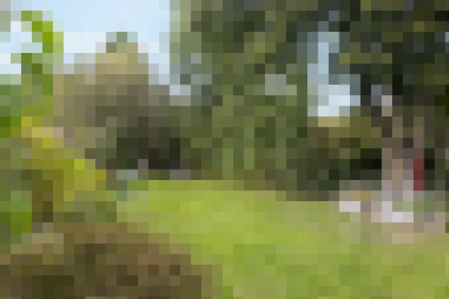 Eppekoutsweg 4 Guttecoven thumbnail 44