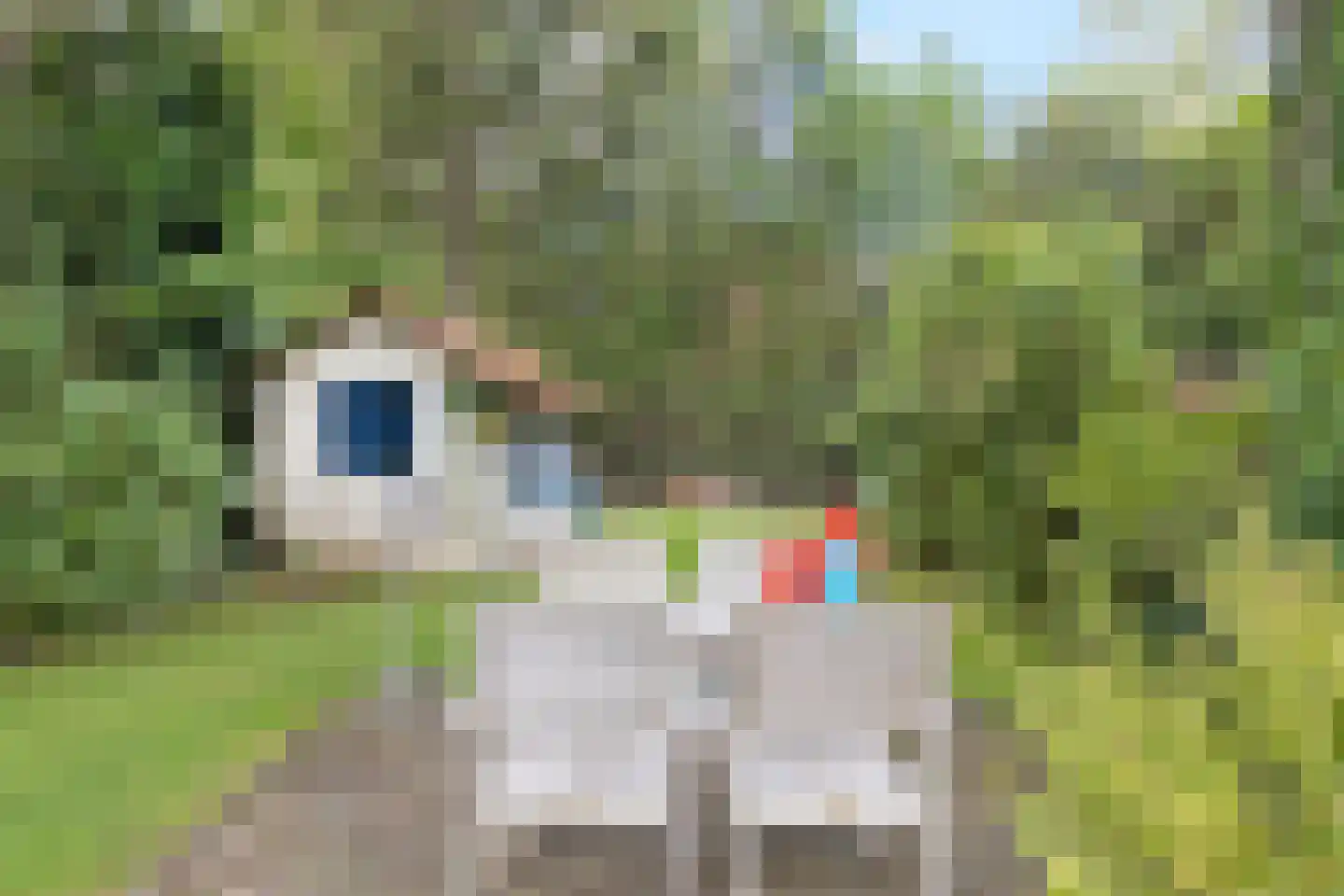 Eppekoutsweg 4 Guttecoven thumbnail 45