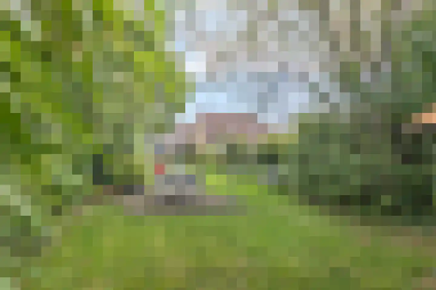 Eppekoutsweg 4 Guttecoven thumbnail 46