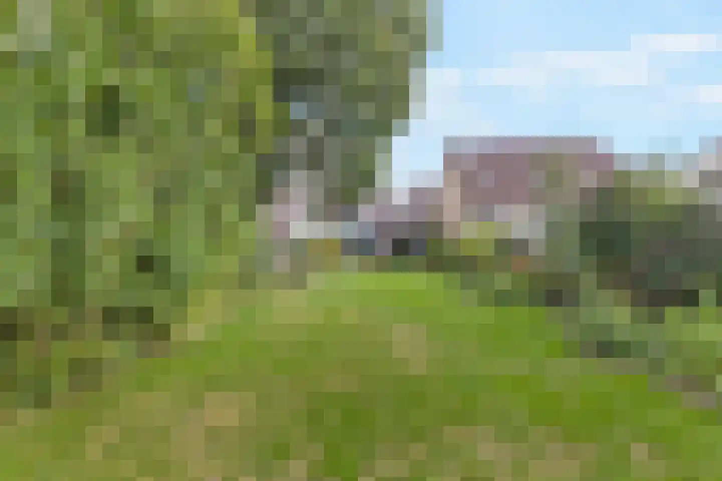 Eppekoutsweg 4 Guttecoven thumbnail 47