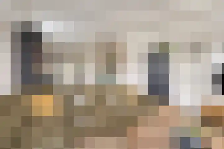 Eppinge 2 Annerveenschekanaal thumbnail 10