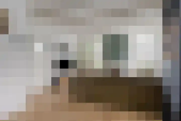 Eppinge 2 Annerveenschekanaal thumbnail 14