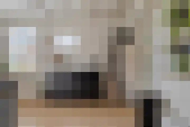 Eppinge 2 Annerveenschekanaal thumbnail 20