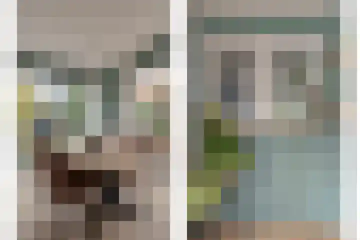 Eppinge 2 Annerveenschekanaal thumbnail 23