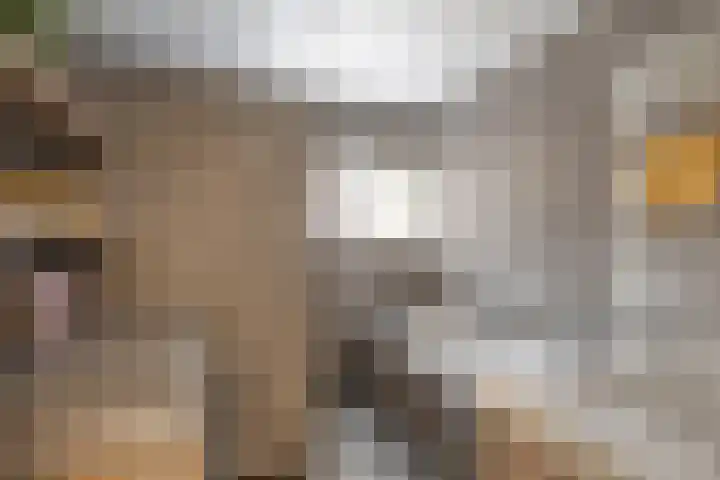 Eppinge 2 Annerveenschekanaal thumbnail 25