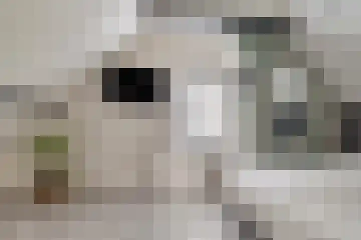 Eppinge 2 Annerveenschekanaal thumbnail 27