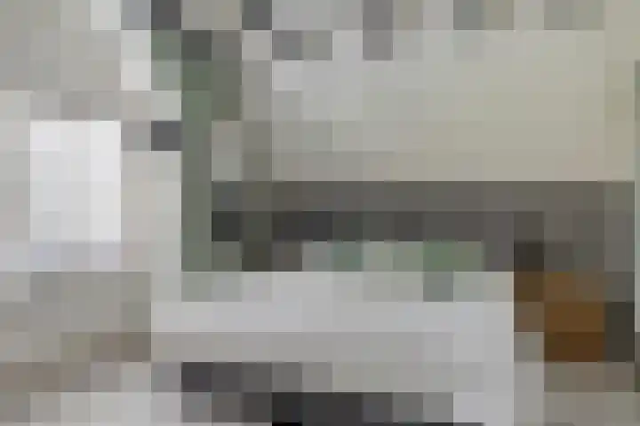 Eppinge 2 Annerveenschekanaal thumbnail 28