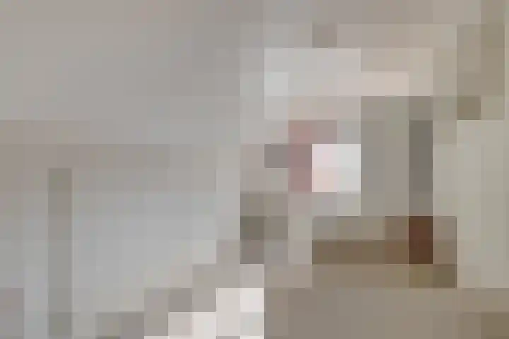 Eppinge 2 Annerveenschekanaal thumbnail 30