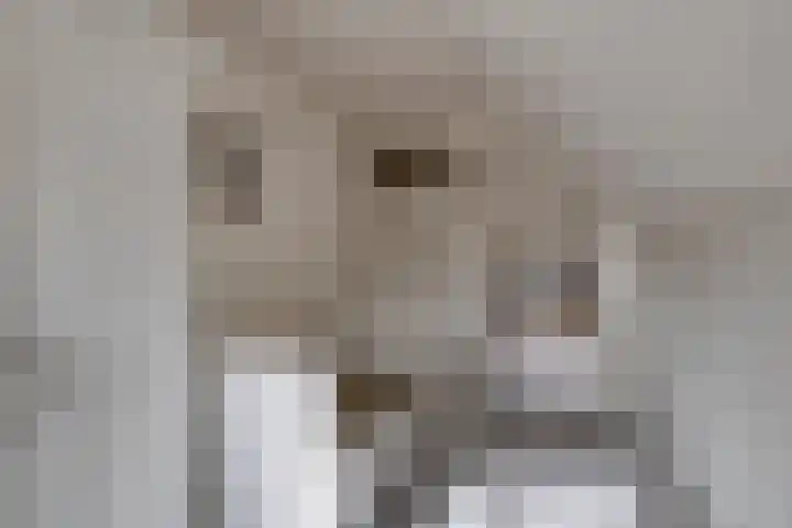 Eppinge 2 Annerveenschekanaal thumbnail 31