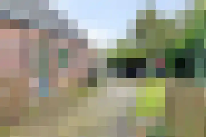 Eppinge 2 Annerveenschekanaal thumbnail 34
